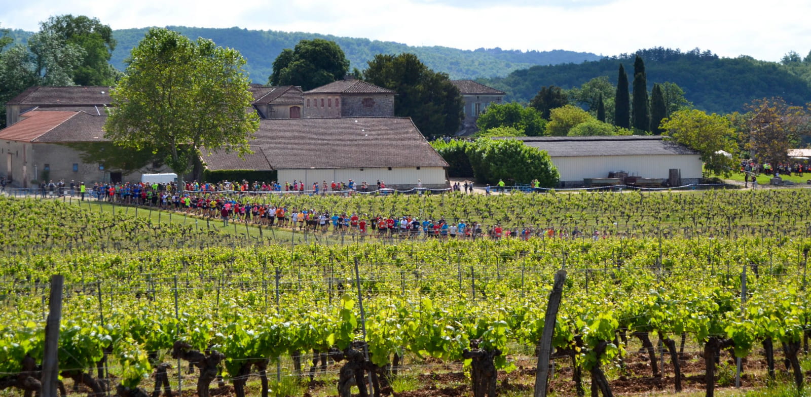 Vignes & Châteaux