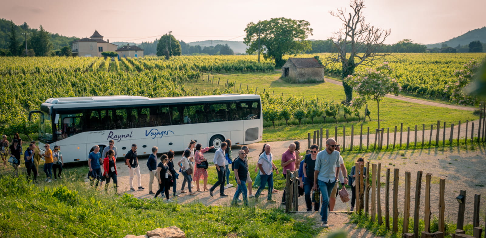 Winery groups - Business tourism