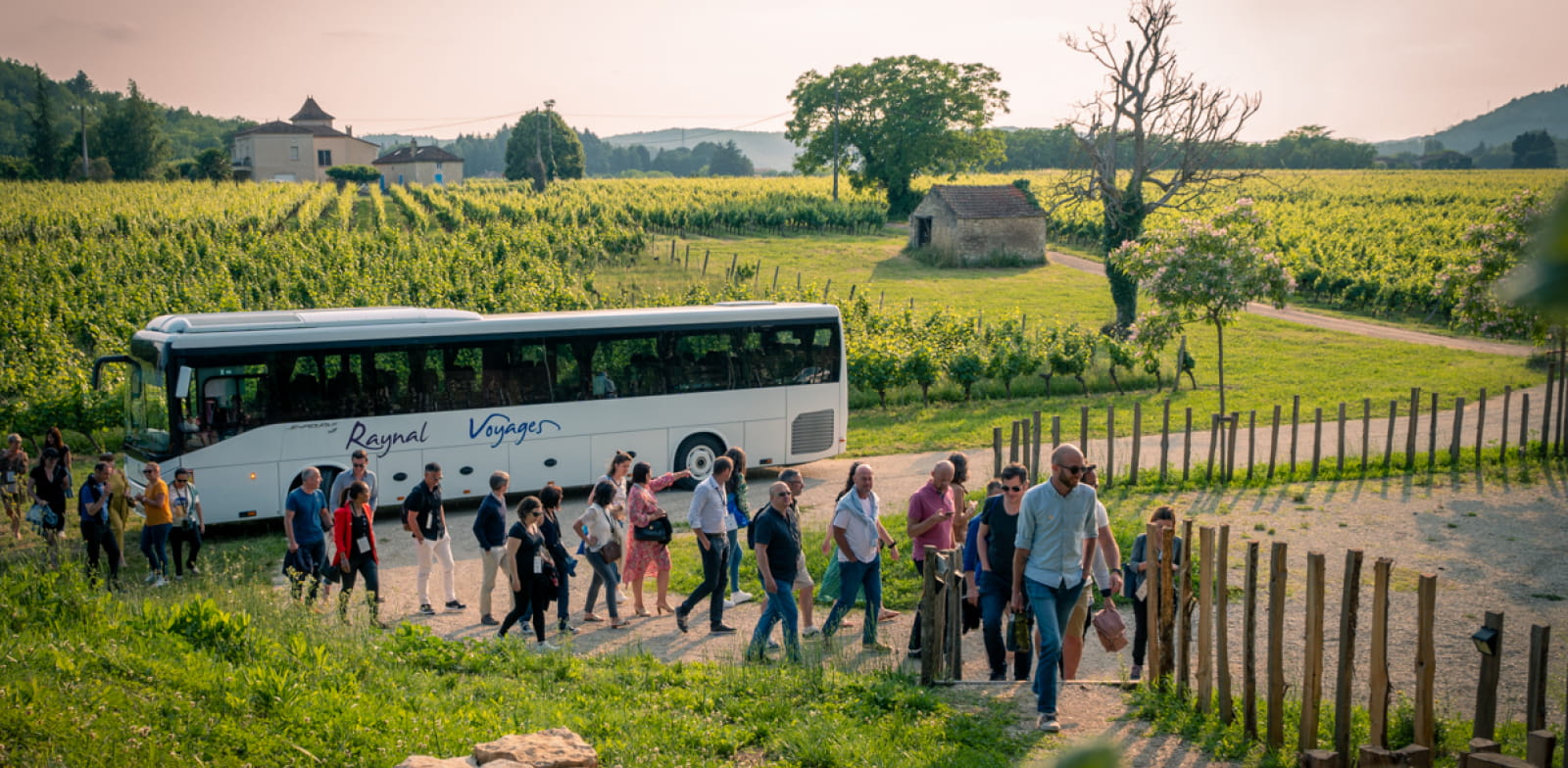 Wijnmakerijgroepen - Zakelijk toerisme