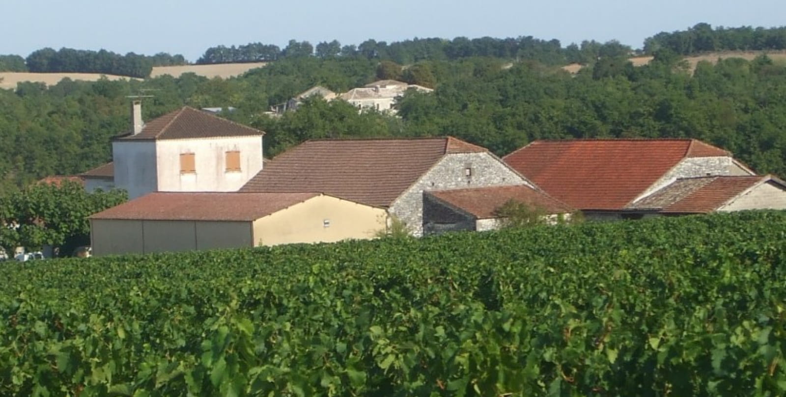 Chateau du Brel-Fargues-©Independent winegrowers