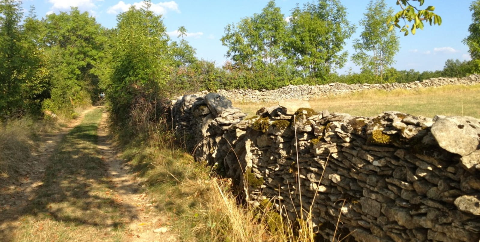 Lugagnac  : Dry stone low wall path