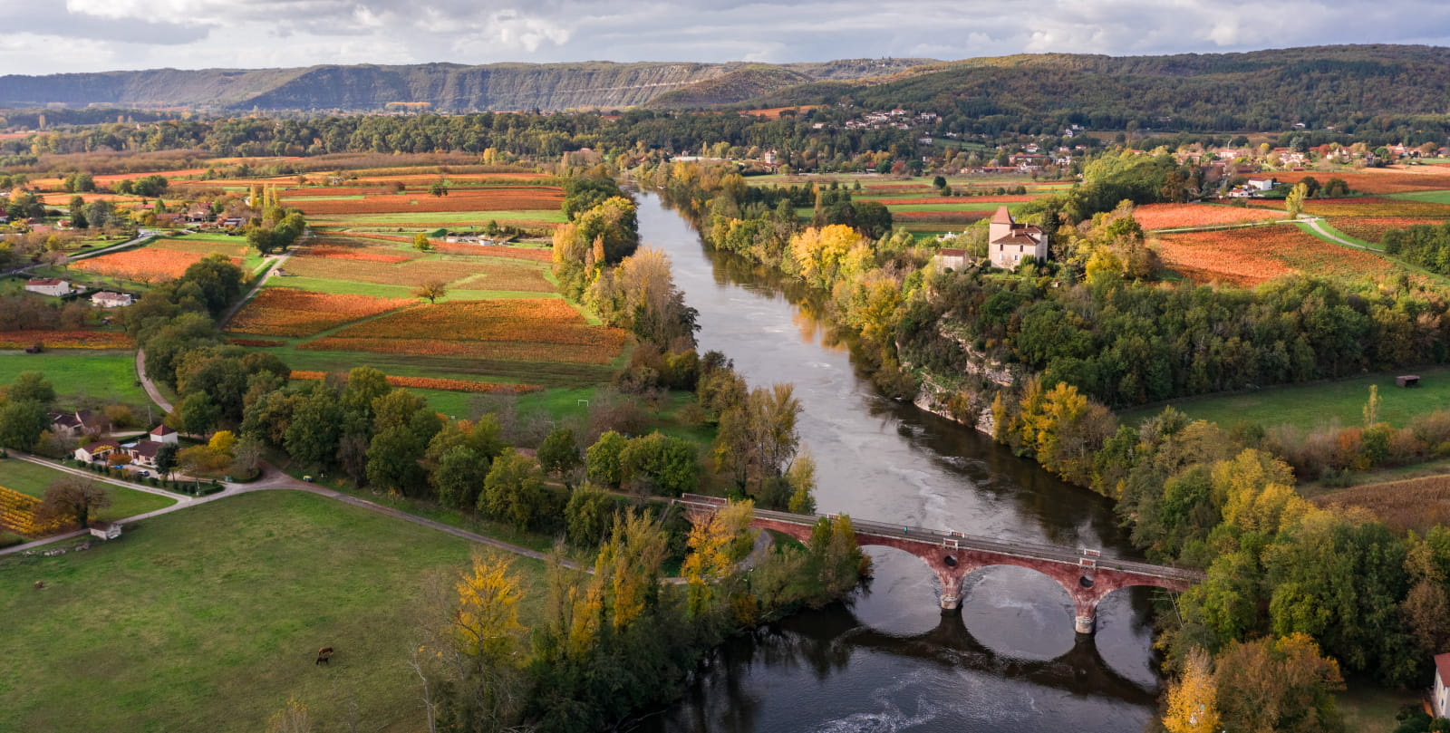 vineyard of Cahors in autumn at Douelle
