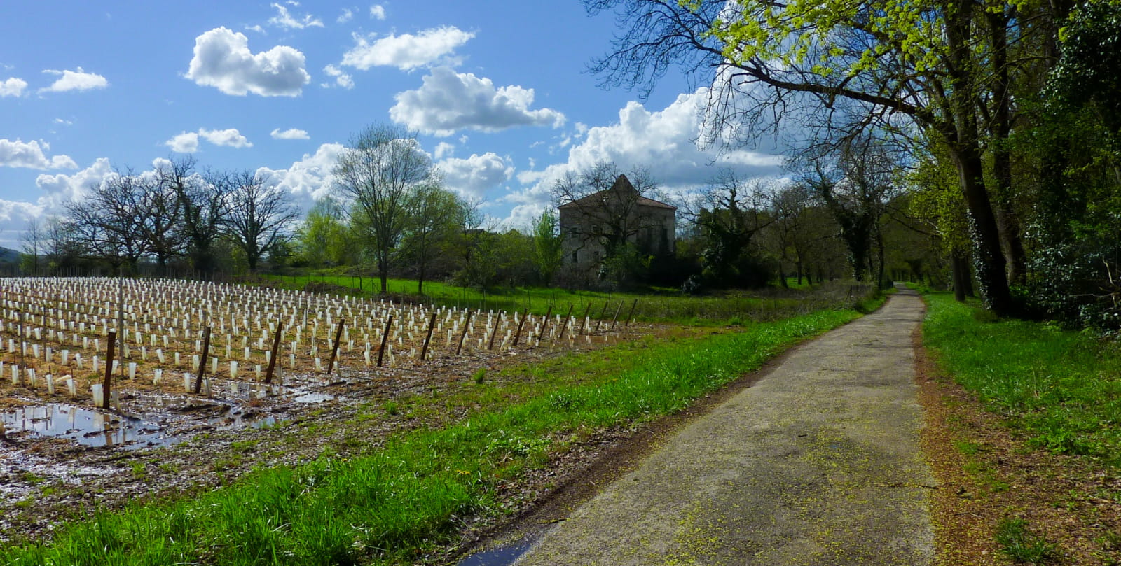 Les tuileries - Doorgang tussen de wijngaarden en de Lot © Lot Tourisme - C. Sanchez