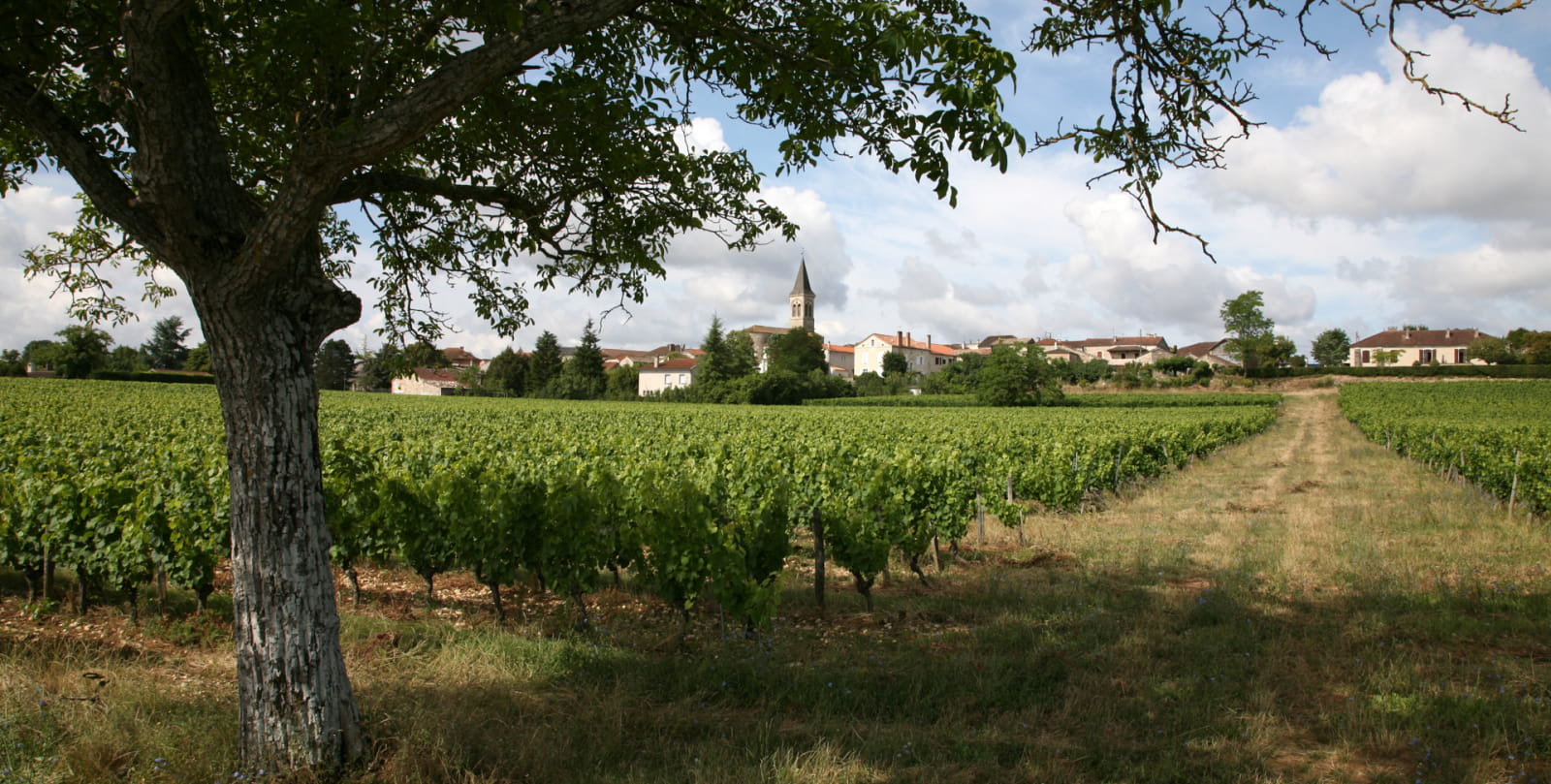 Sauzet - View of the Village