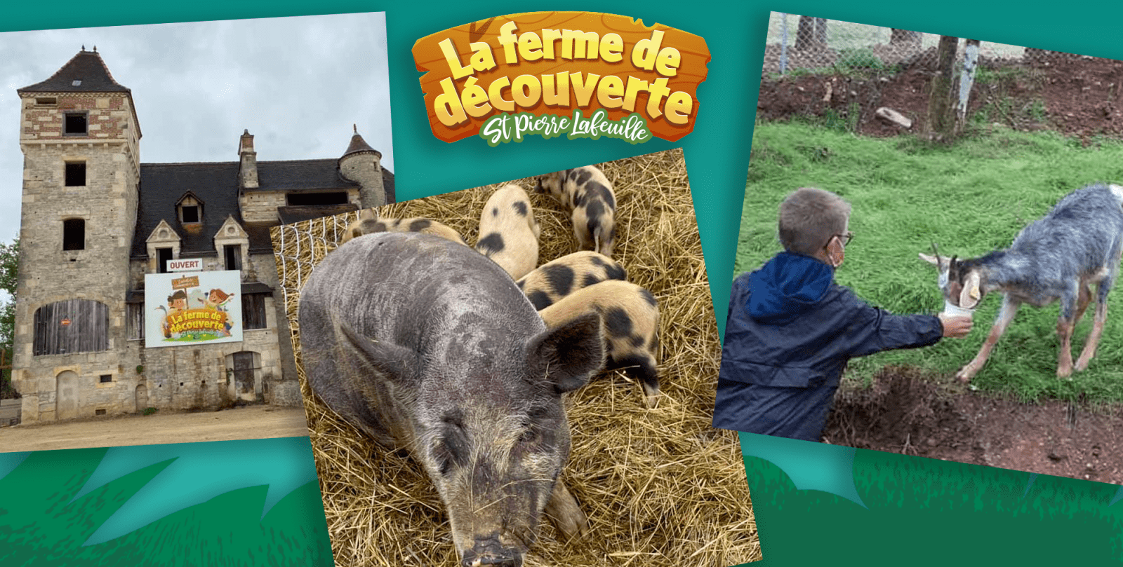 Los animales de la granja de descubrimiento de St Pierre Lafeuille