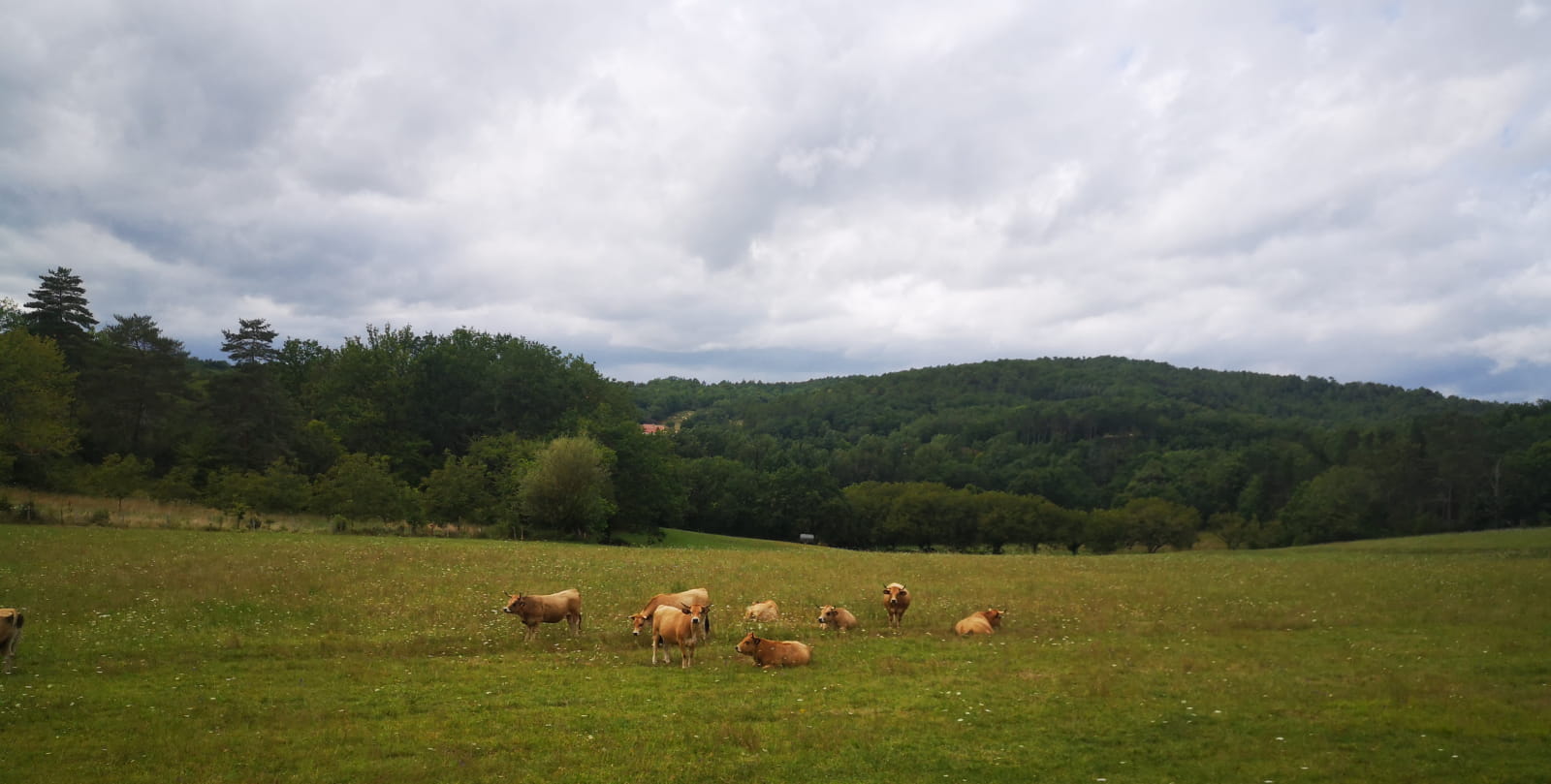 230802_Vue champ PR Lherm- ©F.Laparra - Office de Tourisme Cahors Vallée du Lot