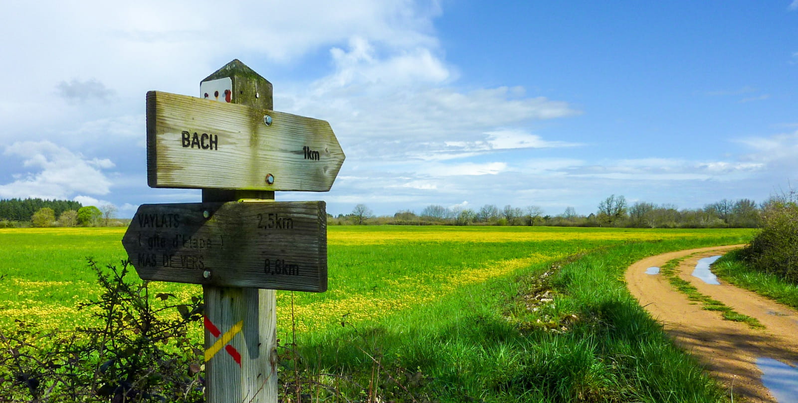 Poffy - Signage in front of a rapeseed field © Lot Tourisme - C.Sanchez