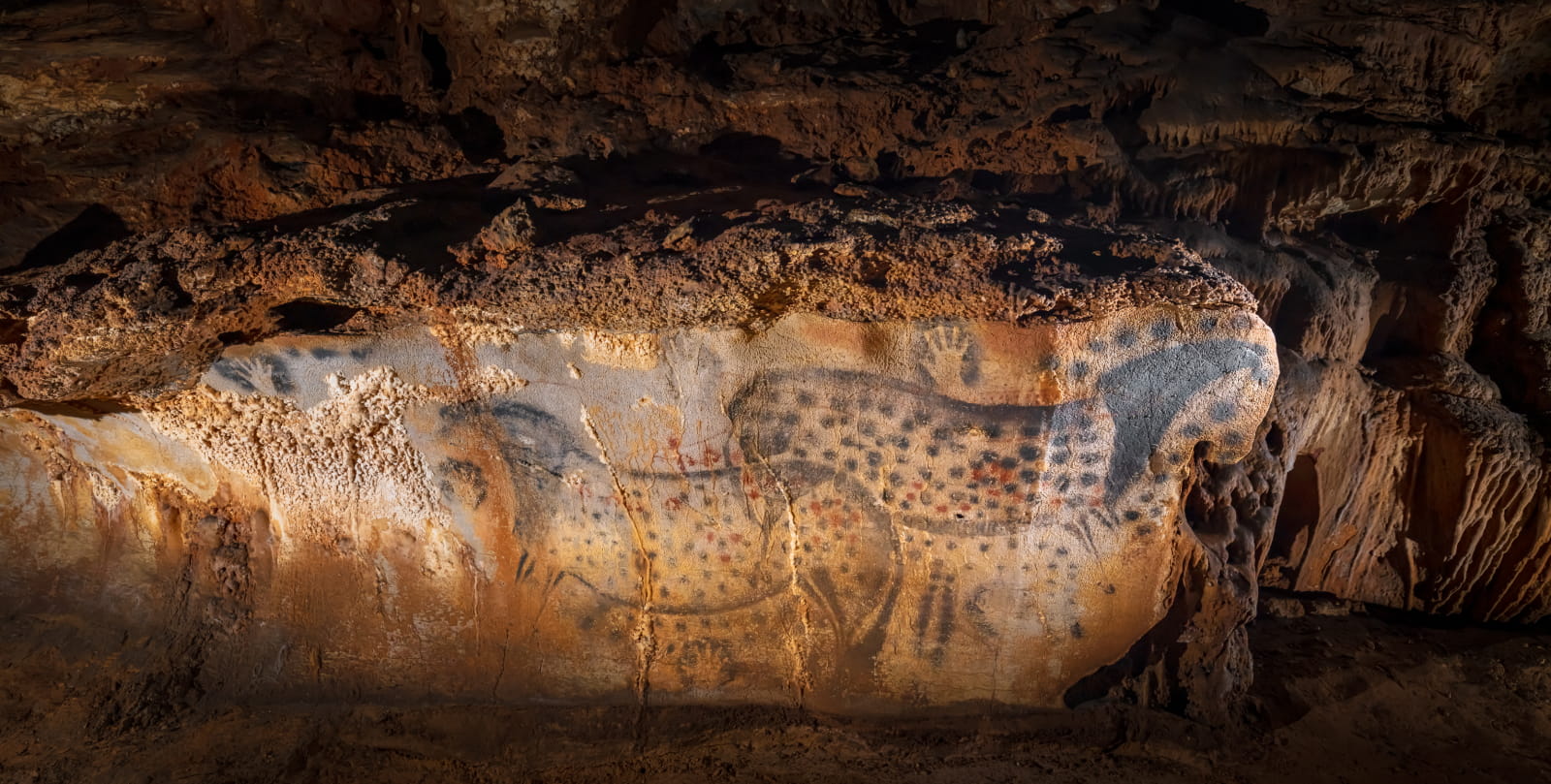 Spotted horses - very wide view - Grotte du Pech Merle
