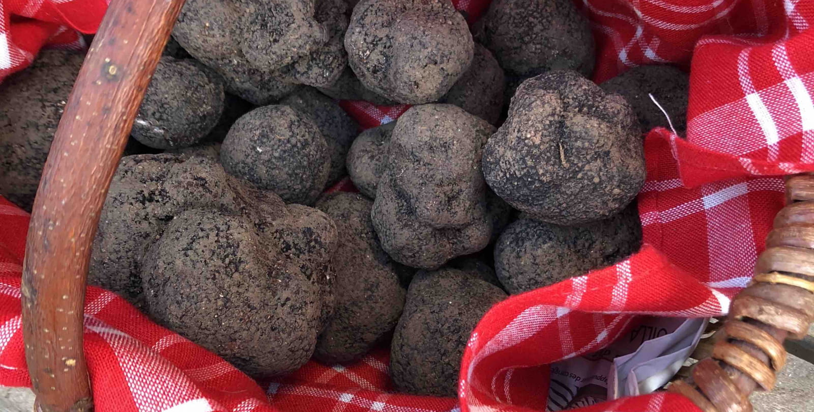 Montcuq zwarte truffels