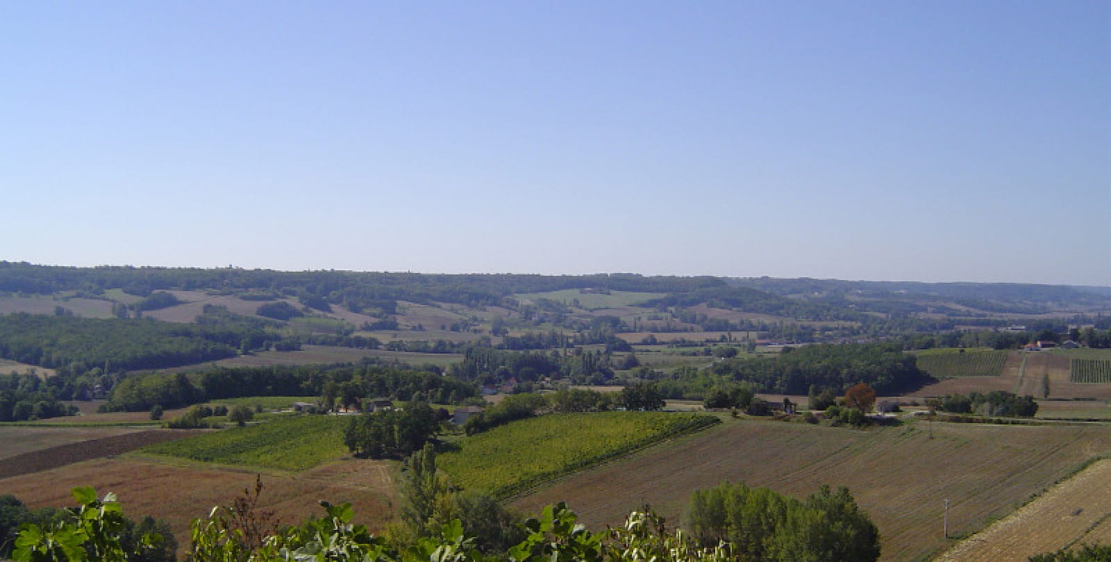 Saux - Vista del viñedo de Cahors